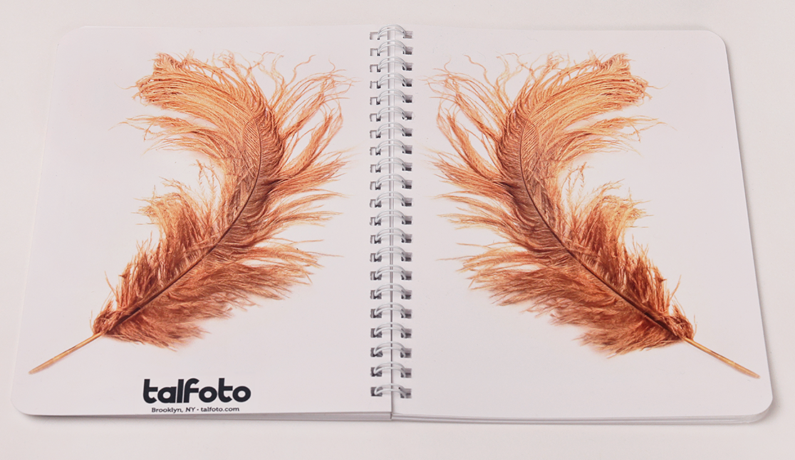 Spiral Journal | Feather | Quill