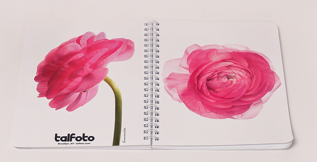 Spiral Journal | Ranuculus