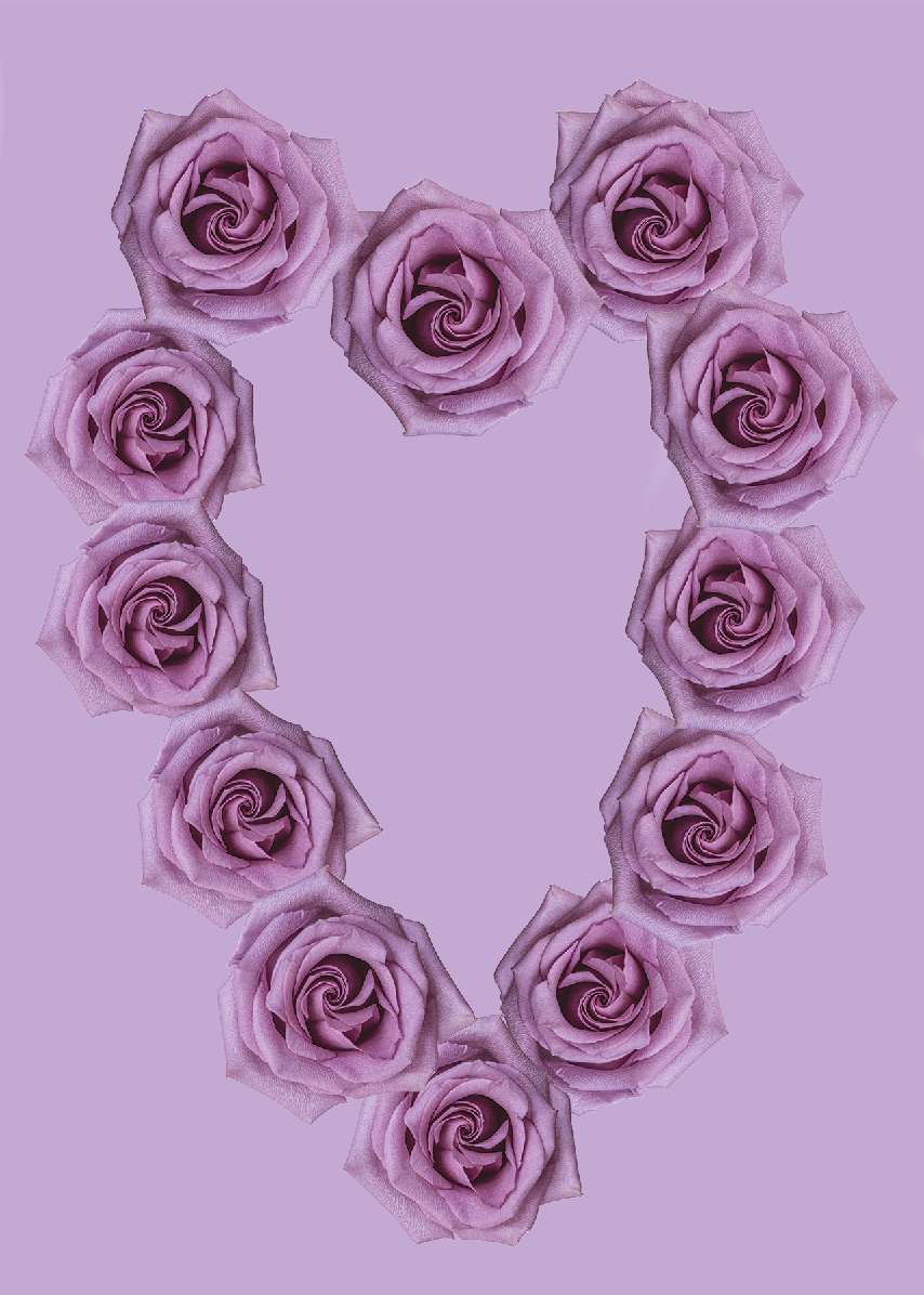Rose Heart In Viola - Pantone Color of the year Botanical Print by Photographer Tal Shpantzer