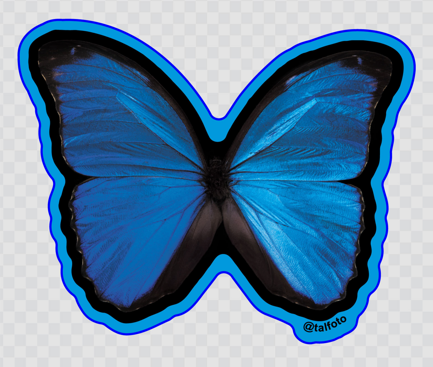 Blue Morpho Butterfly Sticker