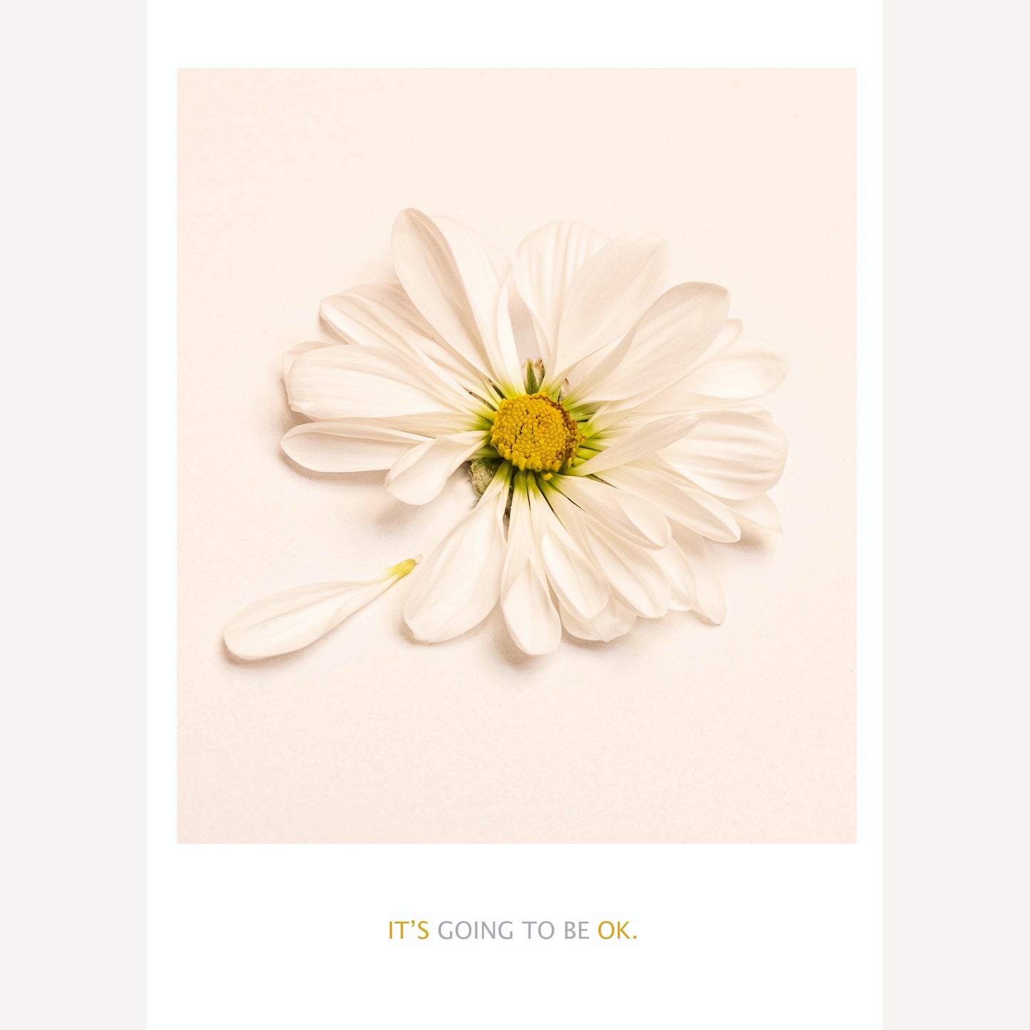 It’s Going To Be OK.