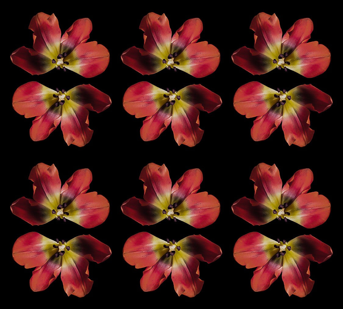 Red Upside Film Floral Print