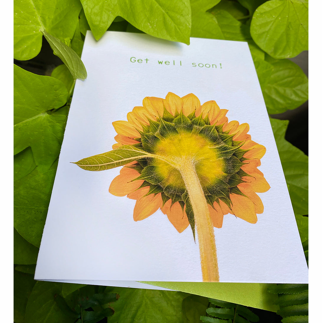Uplifting Sunflower - Get well soon!