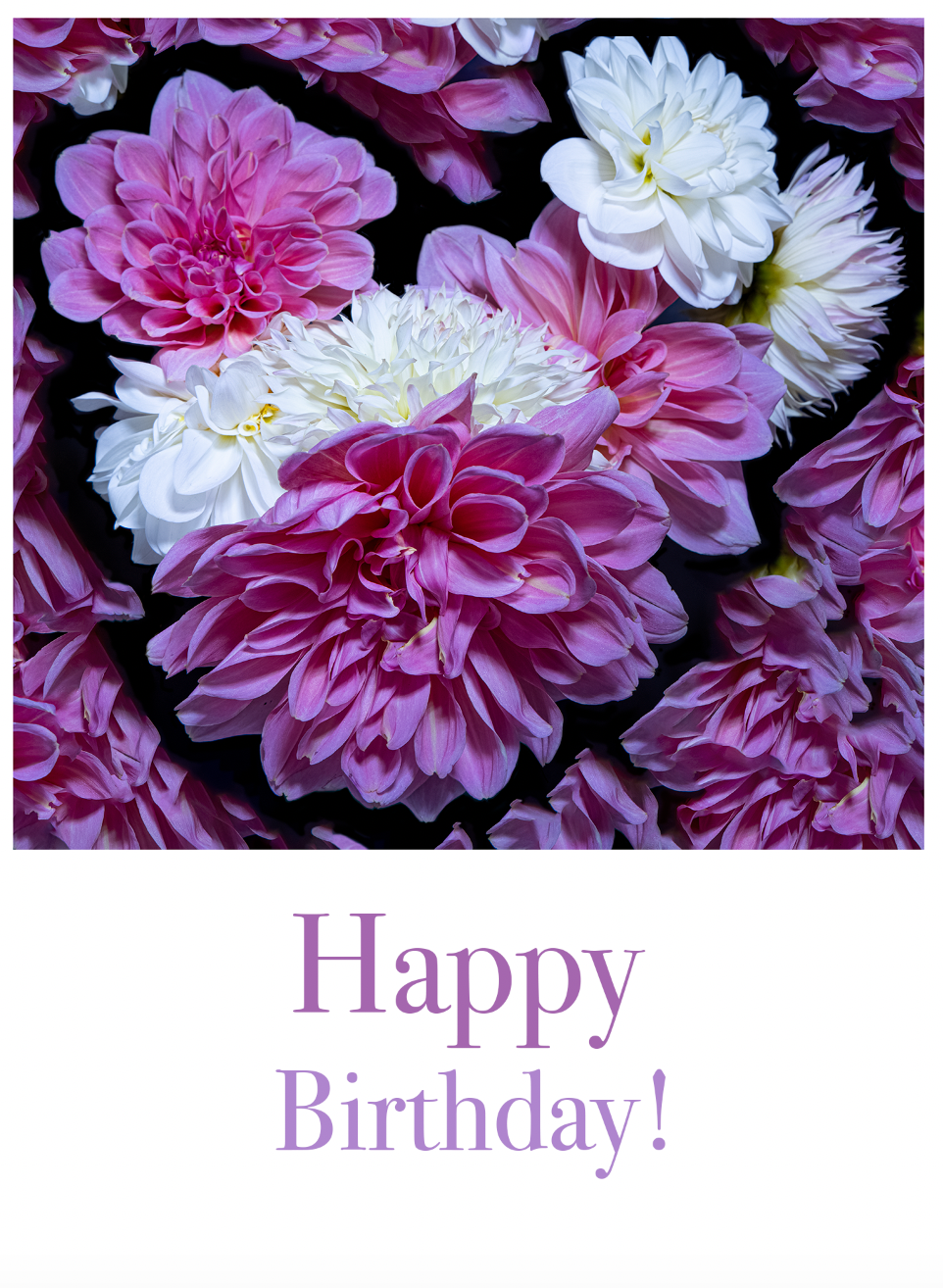 Dahlia Heart - Happy Birthday