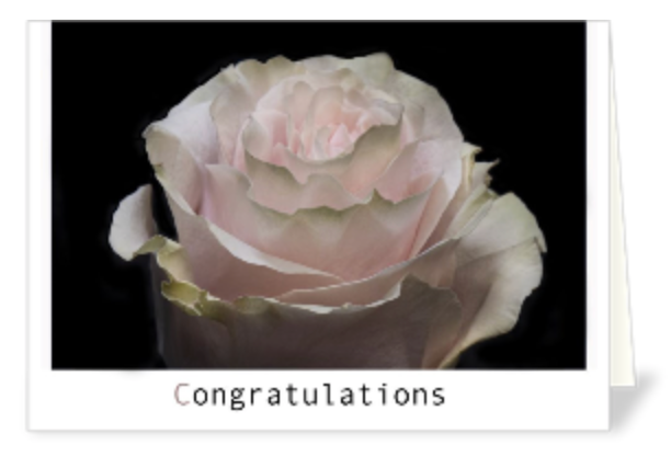 Notecard variety value pack | Holiday, all occasion, birthday, wild card mix - Box Set