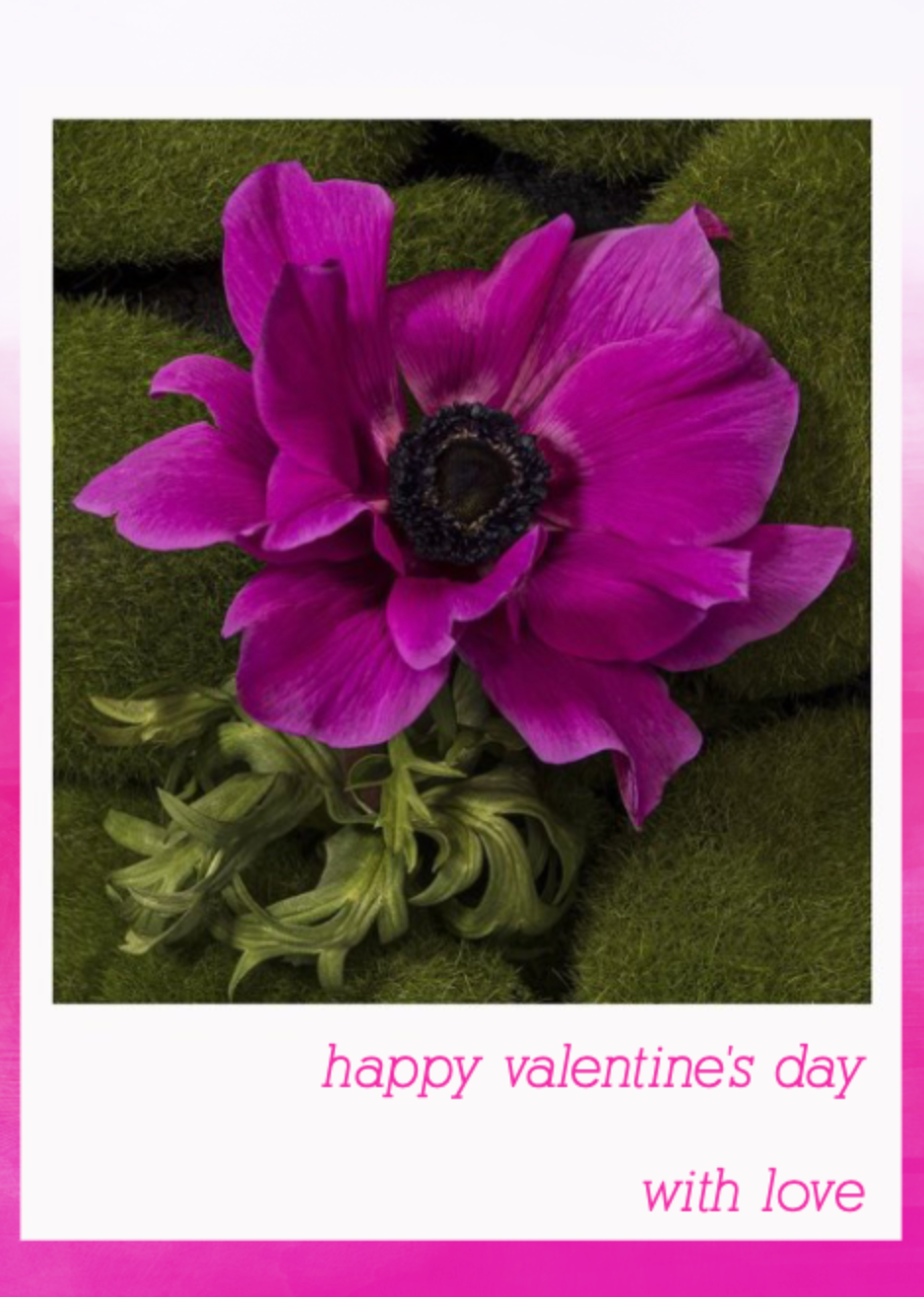 NEW Happy VALENTINE'S with love
