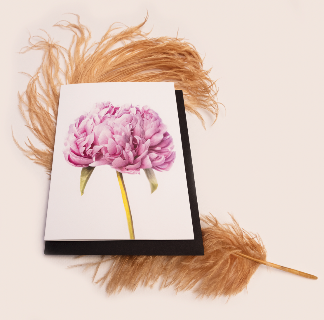 PEONY LOVE