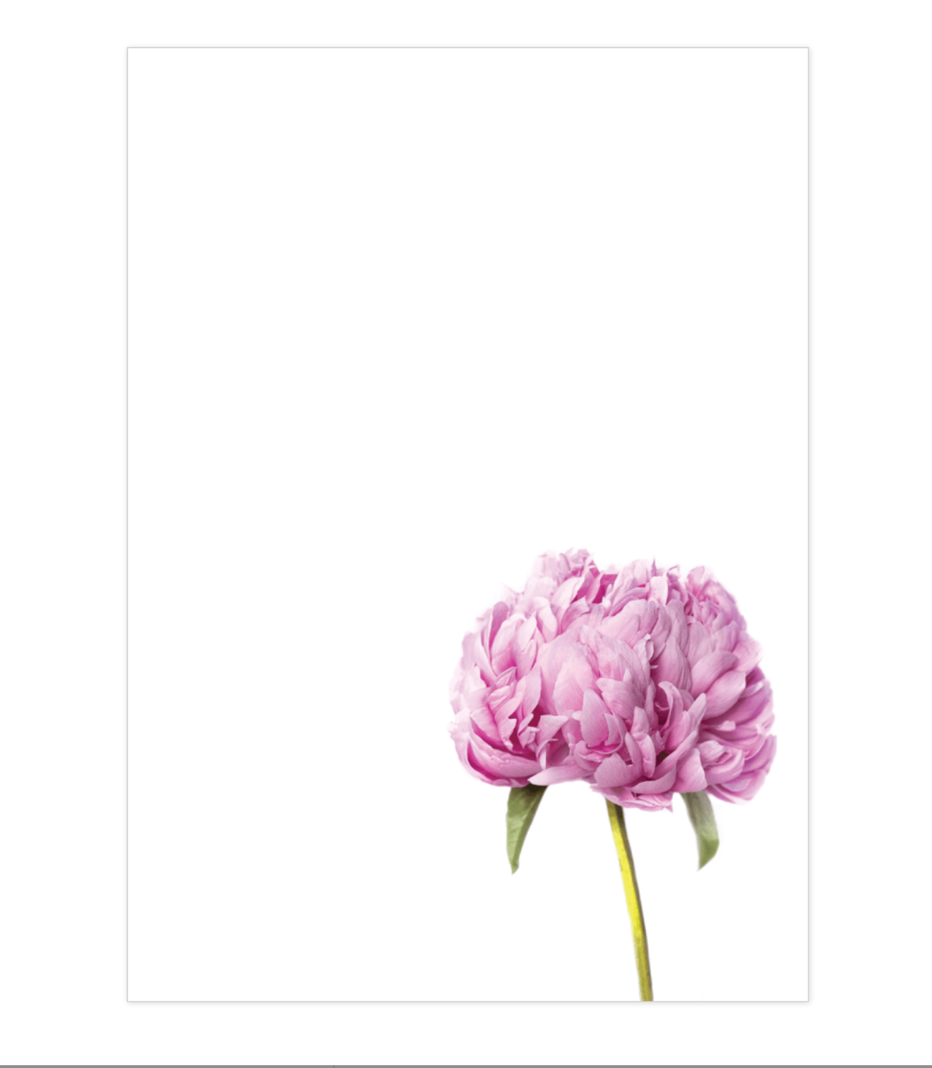 Peony Notepad - New