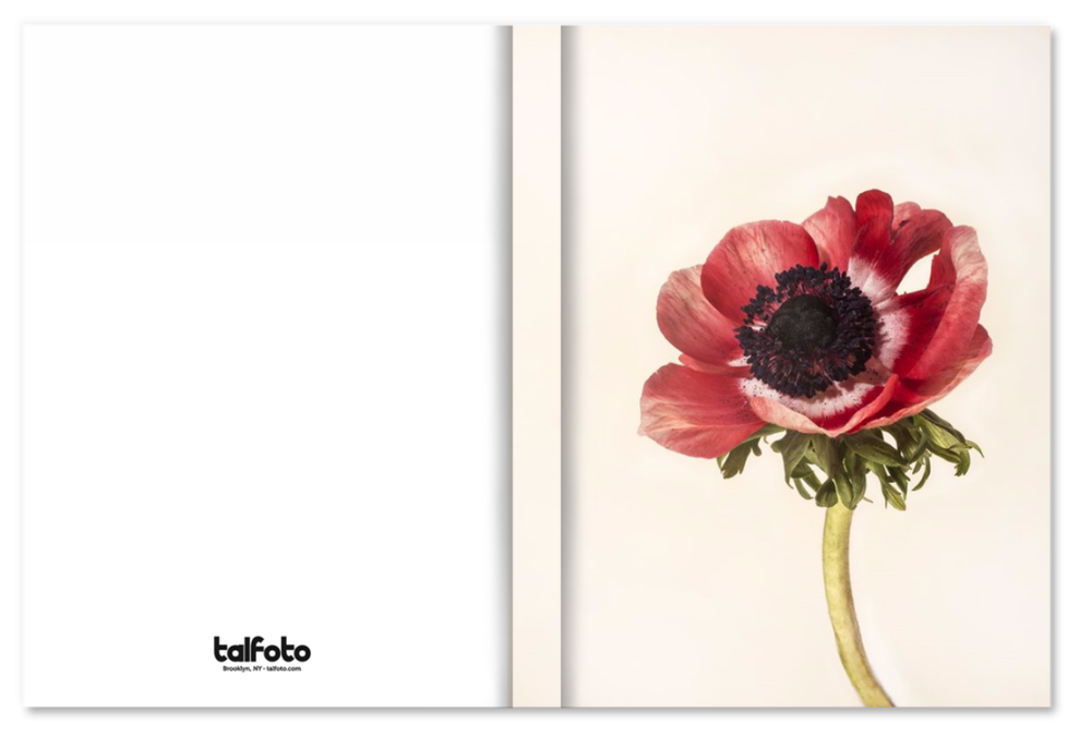 Poppy Notebook