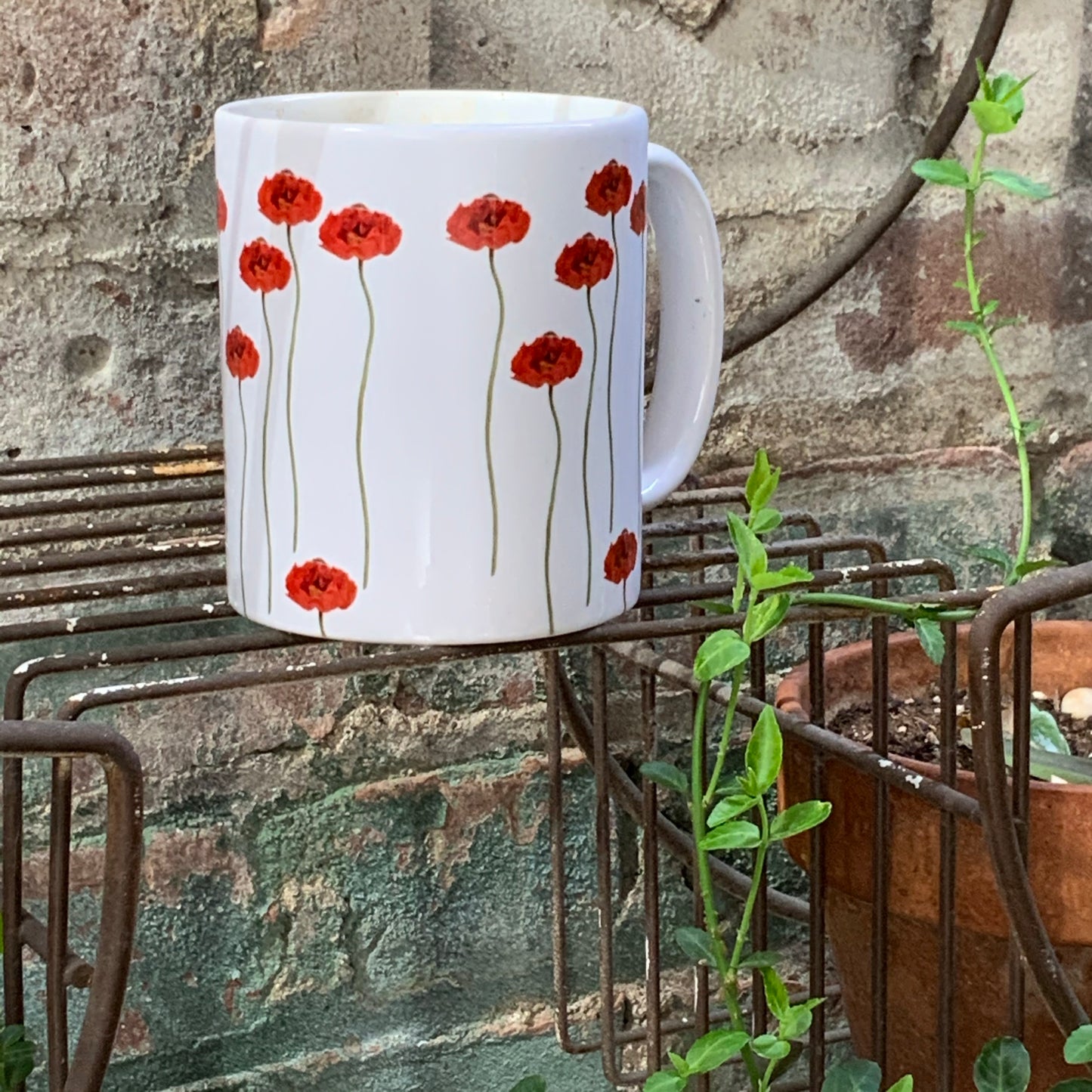 Poppy Dreams | Cup 110z