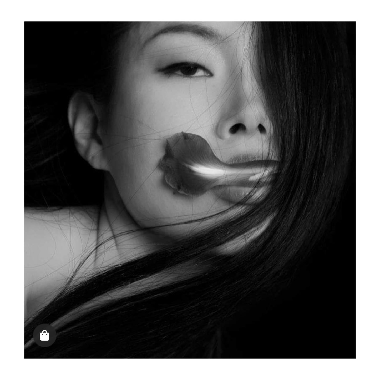 Petal Portrait / Photo Studio Session Gift