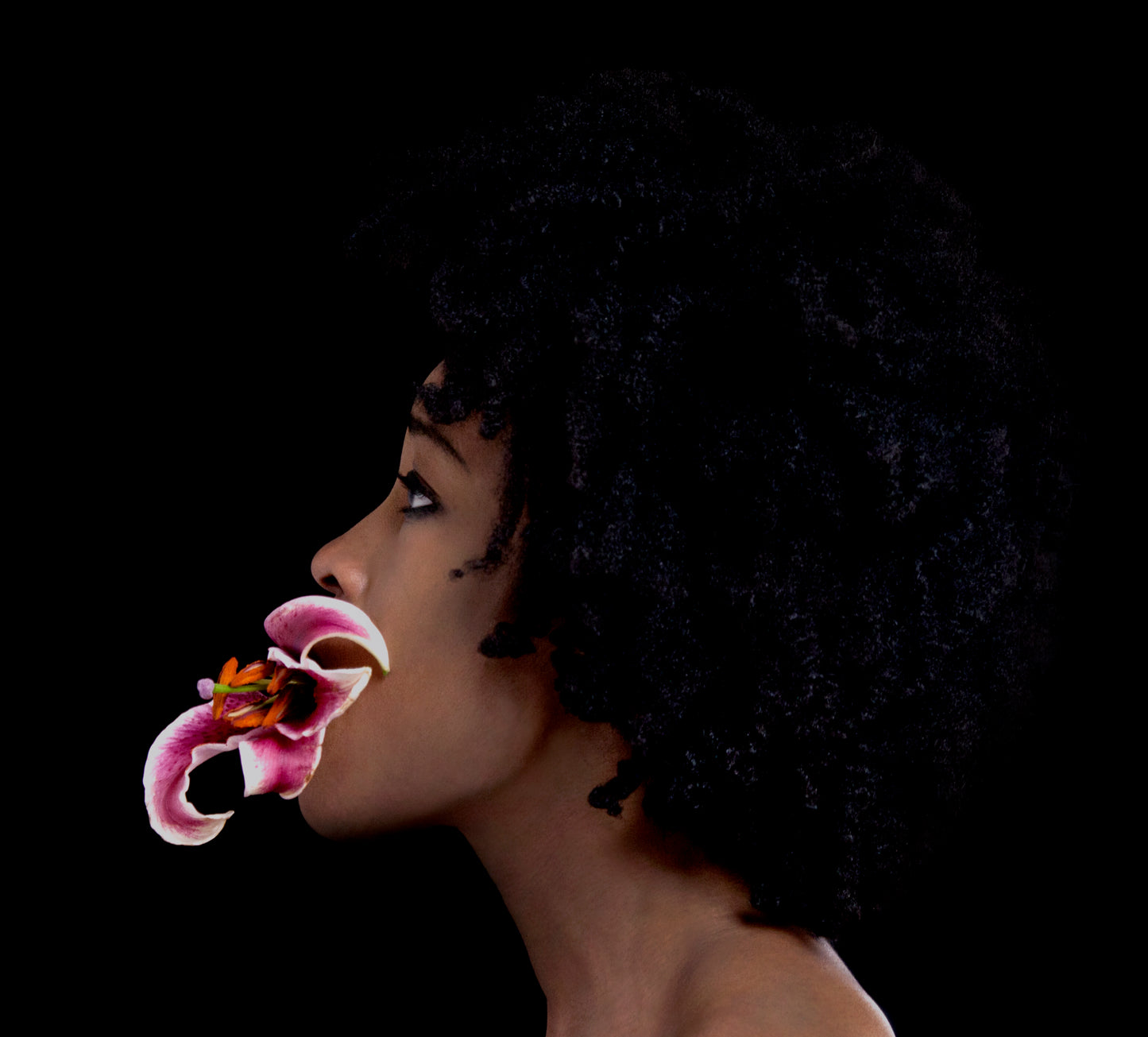 Petal Portrait / Photo Studio Session Gift