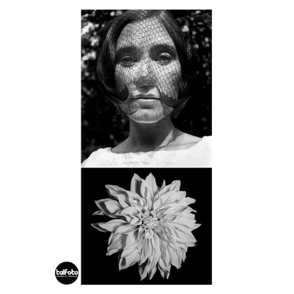 Portrait / Photo Studio Session Gift