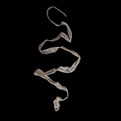 Snake Skin Shed Poster