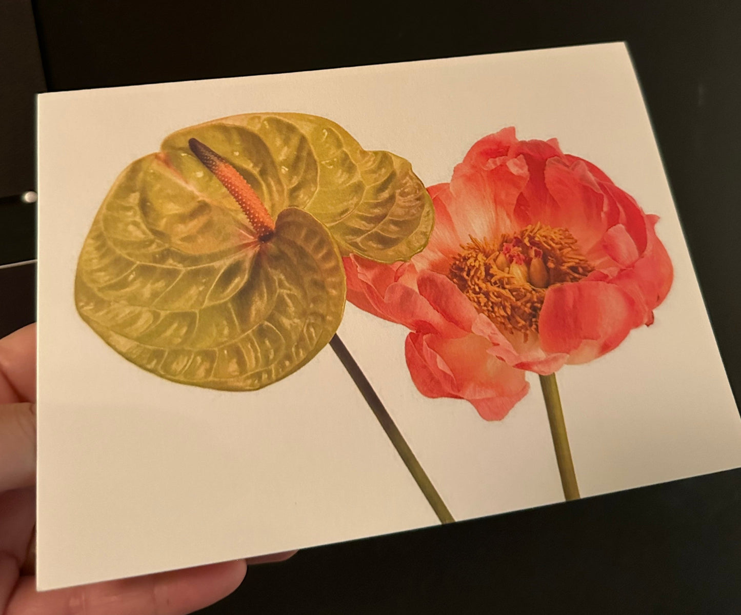 Peony & Anthurium Apple Green Forever - Colorful Minimal Floral Greeting Card