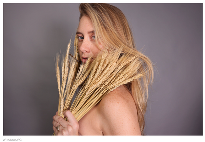 Portrait / Photo Studio or location Session