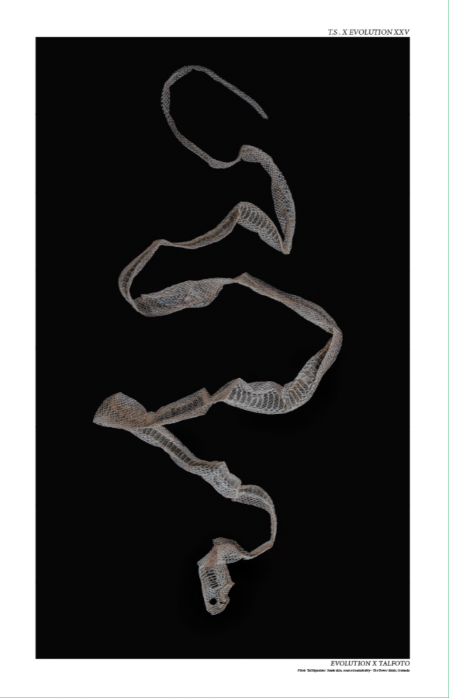 Snake Skin Shed Poster