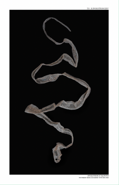 Snake Skin Shed Poster