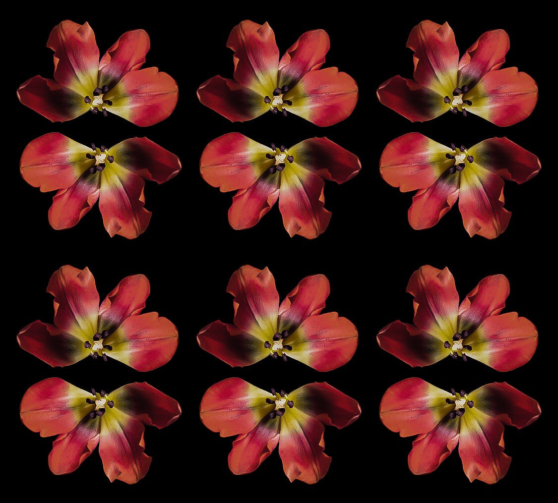 Red Upside Film Floral Print