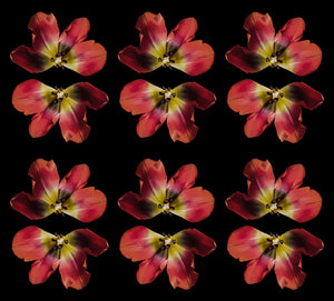 Red Upside Film Floral Print