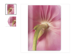 Floral, Soft Cover Botanical Notebook
