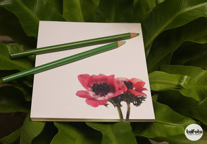 Notepads
