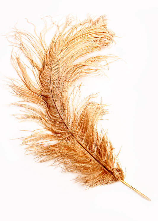GOLDEN FEATHER Lux Greeting Card