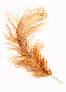 GOLDEN FEATHER