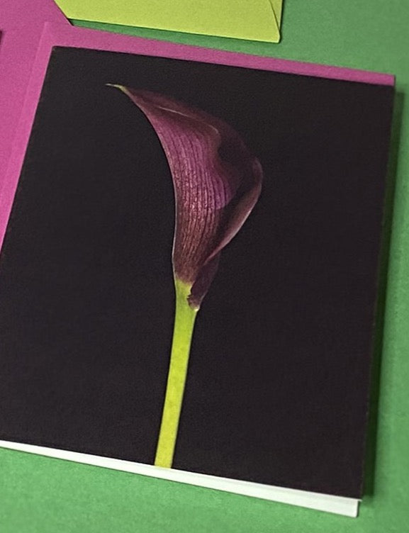 Calla