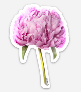 Floral Sticker Happiness | Peony