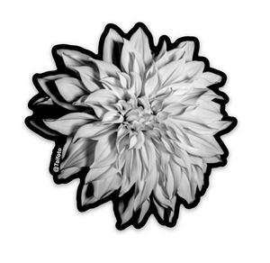 NEW Flower & Plant Sticker Bundle