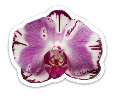 NEW Flower & Plant Sticker Bundle