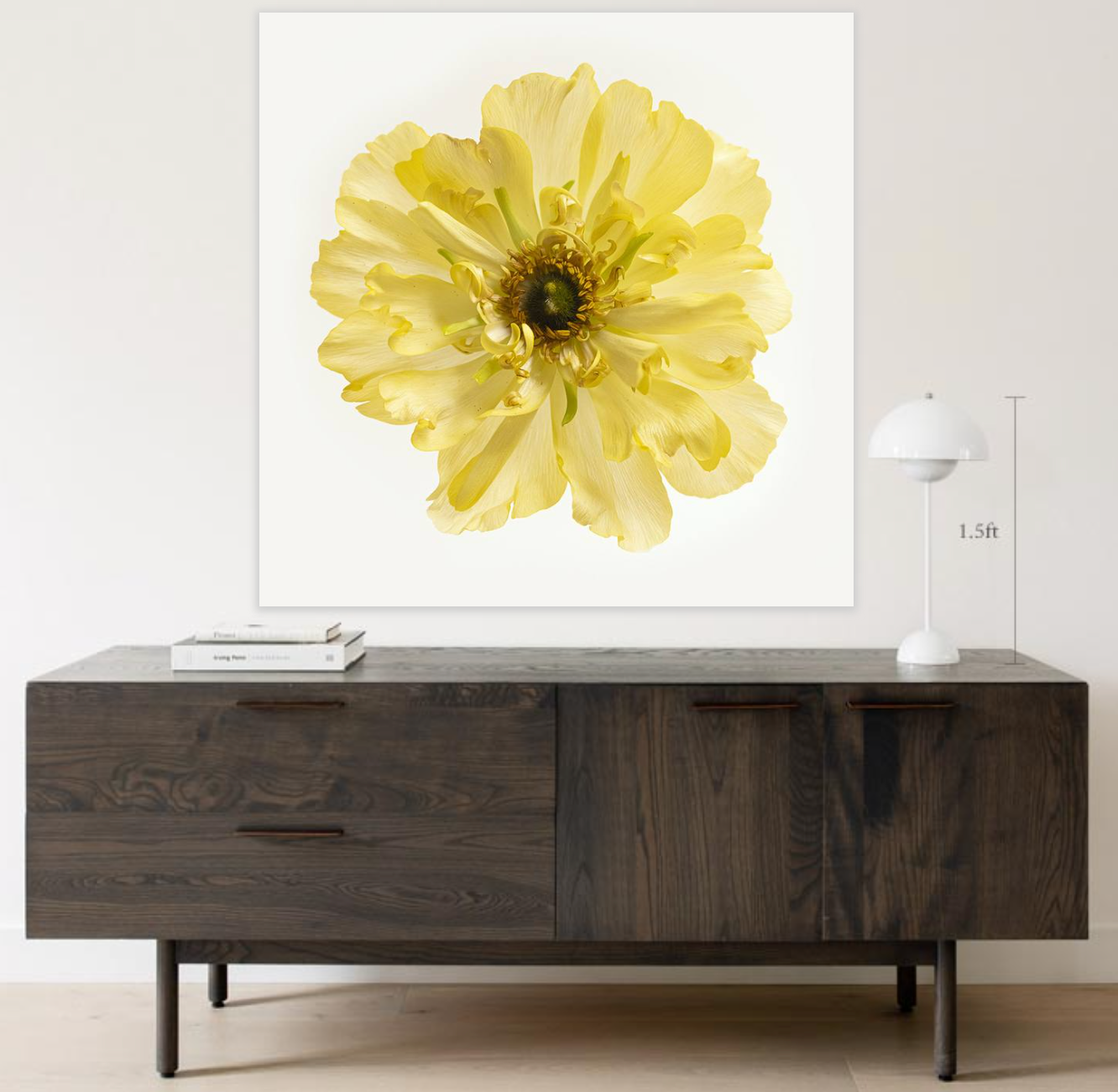 Buttercup, Botanical Art Prints by Photographer Tal Shpantzer