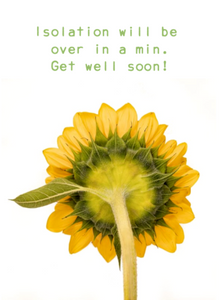Uplifting  Sunflower -Covid  Isolation - Get well soon!