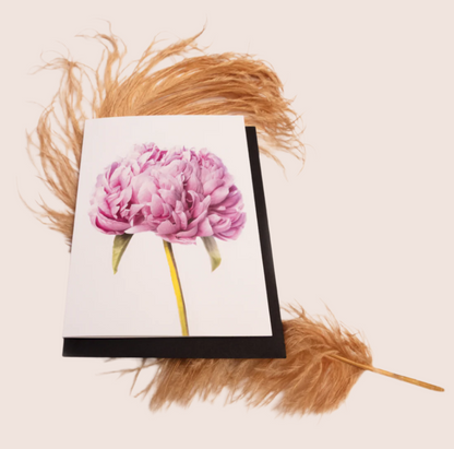 Art Card with pink Peony flower design on a black background with feather