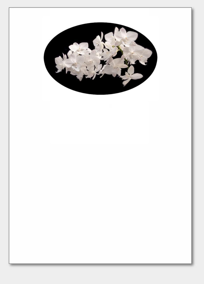 B&W ORCHID Floral Notepad - New