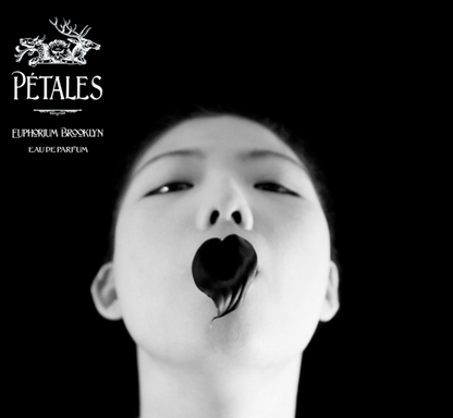 PÉTALES Eau de Parfum by Talfoto | Euphorium Brooklyn in 50ml and 30ml, 8ml decants 3.3ml Tester
