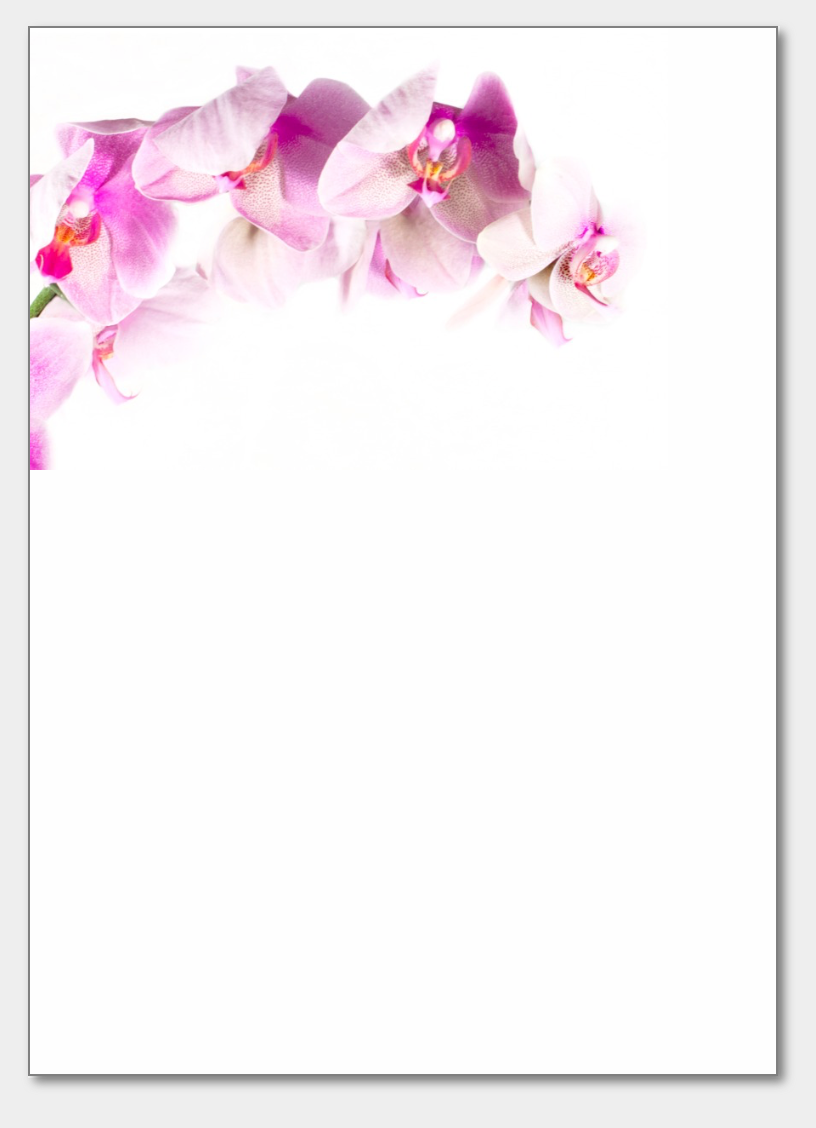 Orchid Bloom Notepad