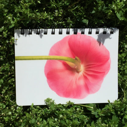 The Pinks Spiral Journal