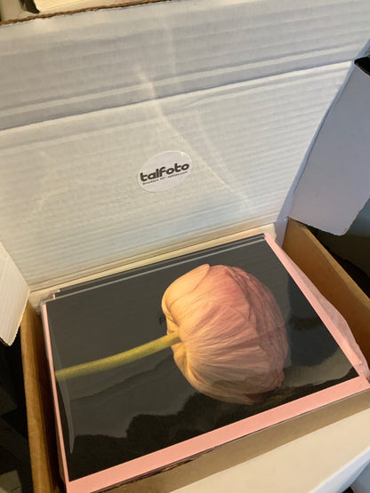 Botanical Notecards, Gift BoxSet