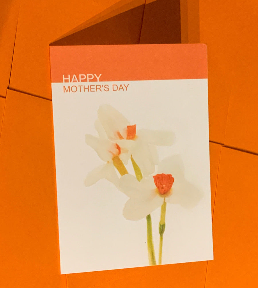 Spring Daffodiles | HAPPY MOTHER’S DAY