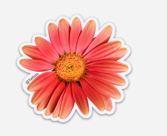 Floral Sticker Happiness